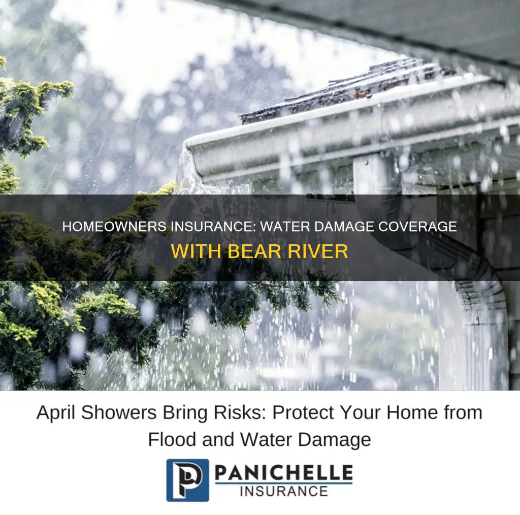what does homeowners insurance cover water damage bear river insurance