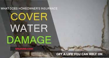 Homeowner's Insurance: Water Damage Covered?