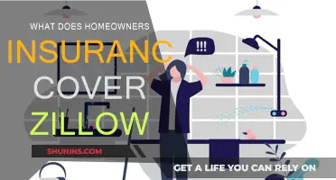 Homeowners Insurance: What Does Zillow Recommend?