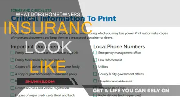 Understanding the Basics of Homeowners Insurance Coverage