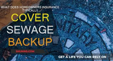 Homeowners Insurance: Sewage Backup Coverage Explained