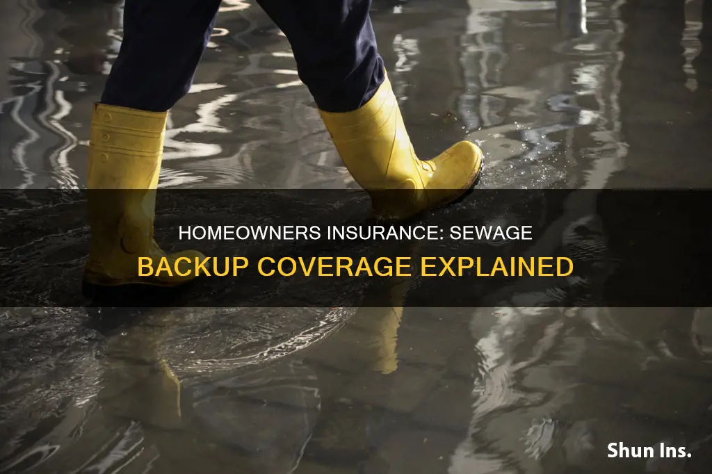 what does homeowners insurance typically cover sewage backup
