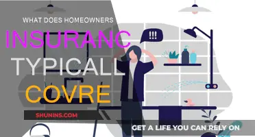 Homeowners Insurance: What's Covered and What's Not?