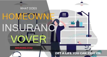 Homeowners Insurance: What's Covered and What's Not?