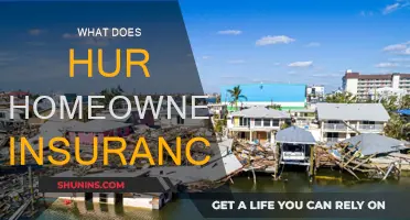 How Hurricane-Proof Is Your Homeowners Insurance?