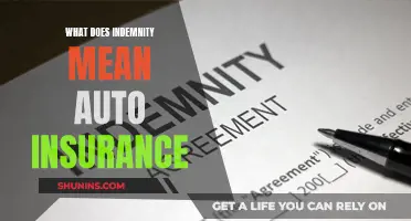 Understanding Indemnity in Auto Insurance: What Does It Cover?