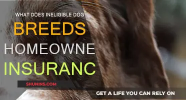 Understanding Home Insurance: Ineligible Dog Breeds and You
