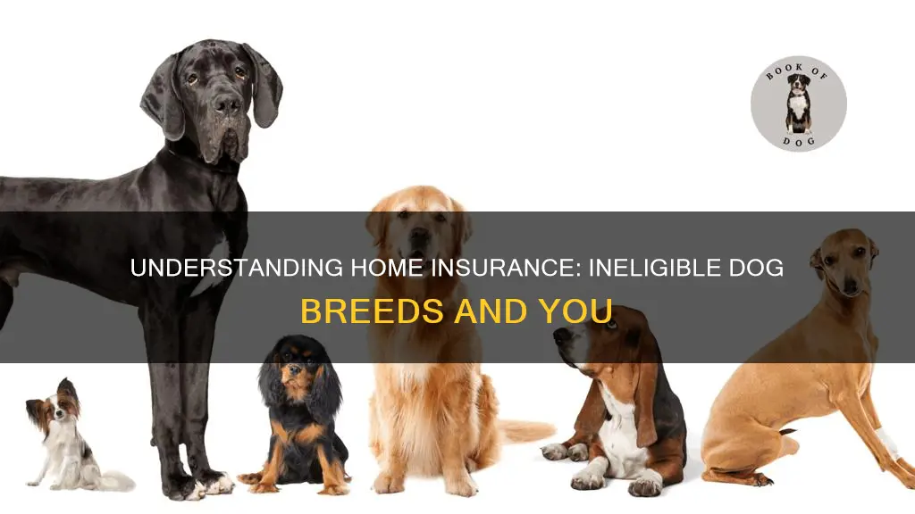 what does ineligible dog breeds homeowners insurance