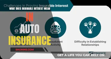 Understanding Insurable Interest: Auto Insurance Explained