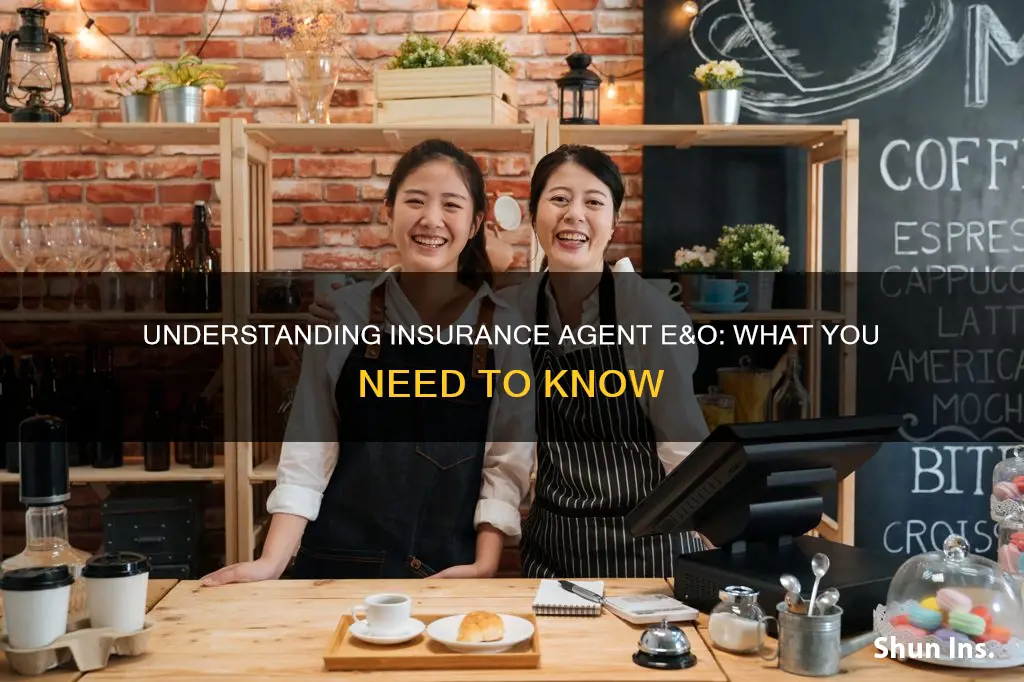 what does insurance agent e&amp