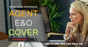 E&O Insurance: Protecting Agents from Costly Mistakes