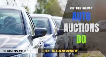 Auto Auction Process: How Insurance Auto Auctions Work