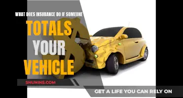 Insurance Options After Your Car is Totaled