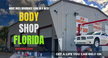 Florida's Auto Body Shop Insurance Requirements and Expectations