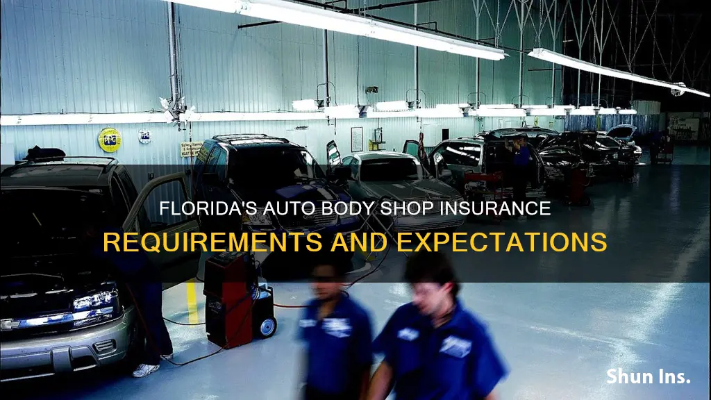 what does insurance look in a auto body shop florida