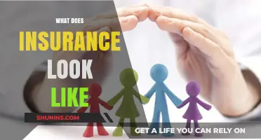 Understanding Insurance: A Comprehensive Look at Coverage and Protection
