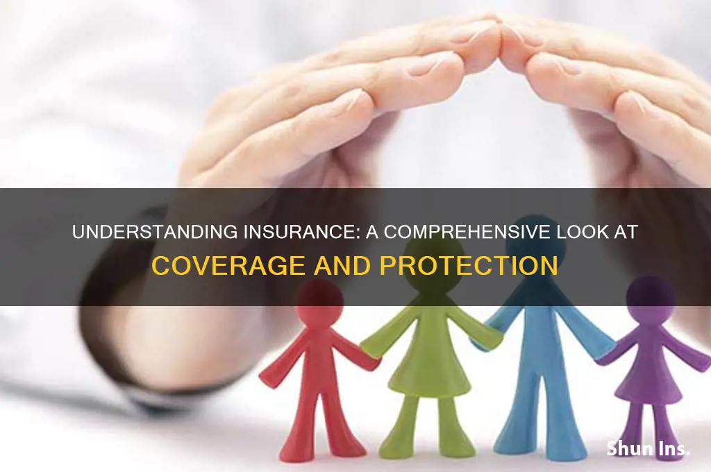 what does insurance look like