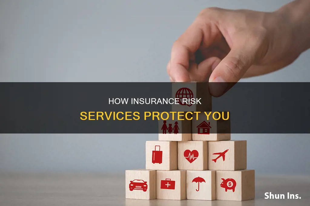 what does insurance risk services do