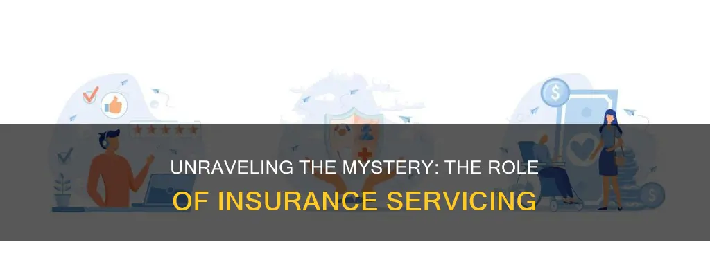 what does insurance-servicing do