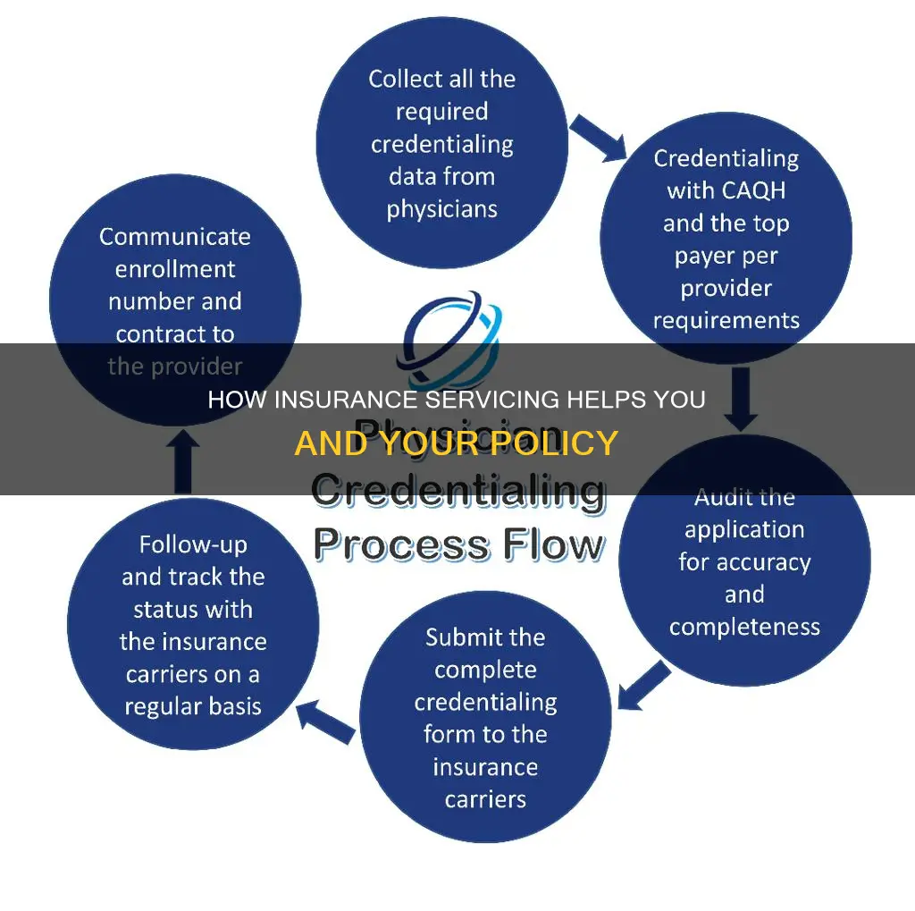 what does insurance-servicing do