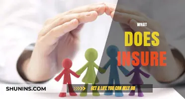 Understanding Insurance: What It Covers, Protects, and Why It Matters