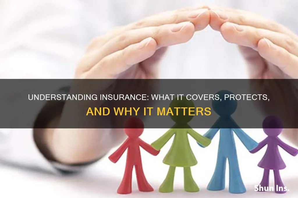 what does insure