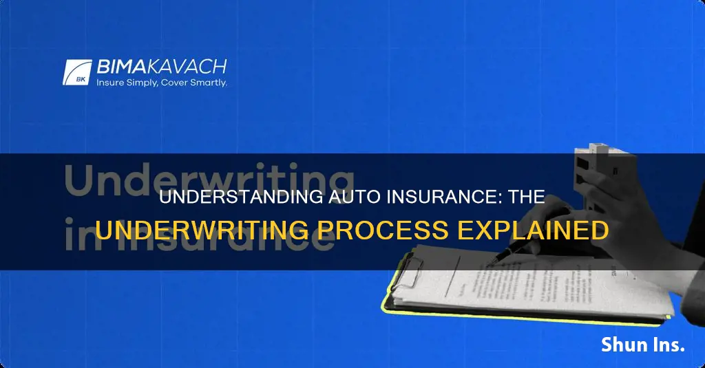 what does it mean auto insurance will underwrite