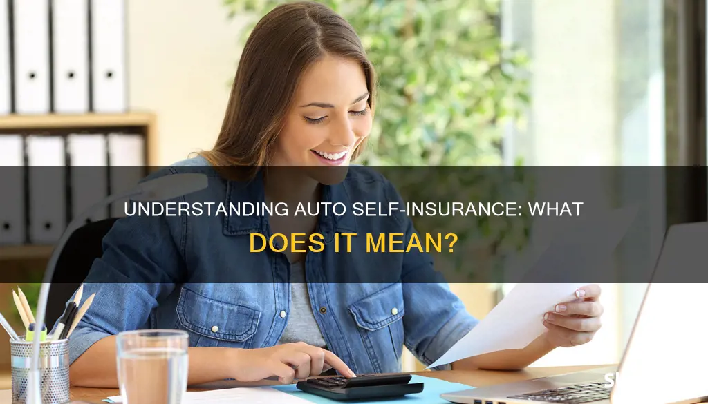 what does it mean auto self insured