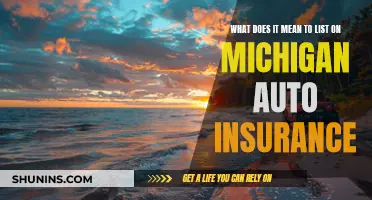 Michigan Auto Insurance: Understanding the Listing Process