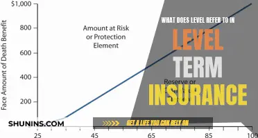 The Intricacies of Level Term Insurance: Unraveling the Meaning of "Level