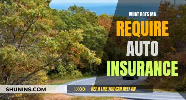 Auto Insurance Requirements in MA: What You Need to Know