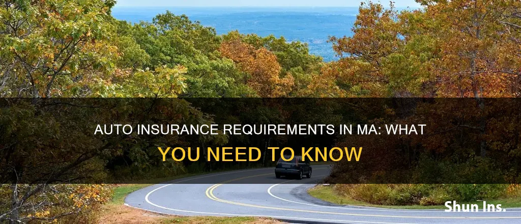 what does ma require auto insurance