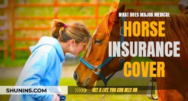 Horse Insurance: What Major Medical Coverage Offers