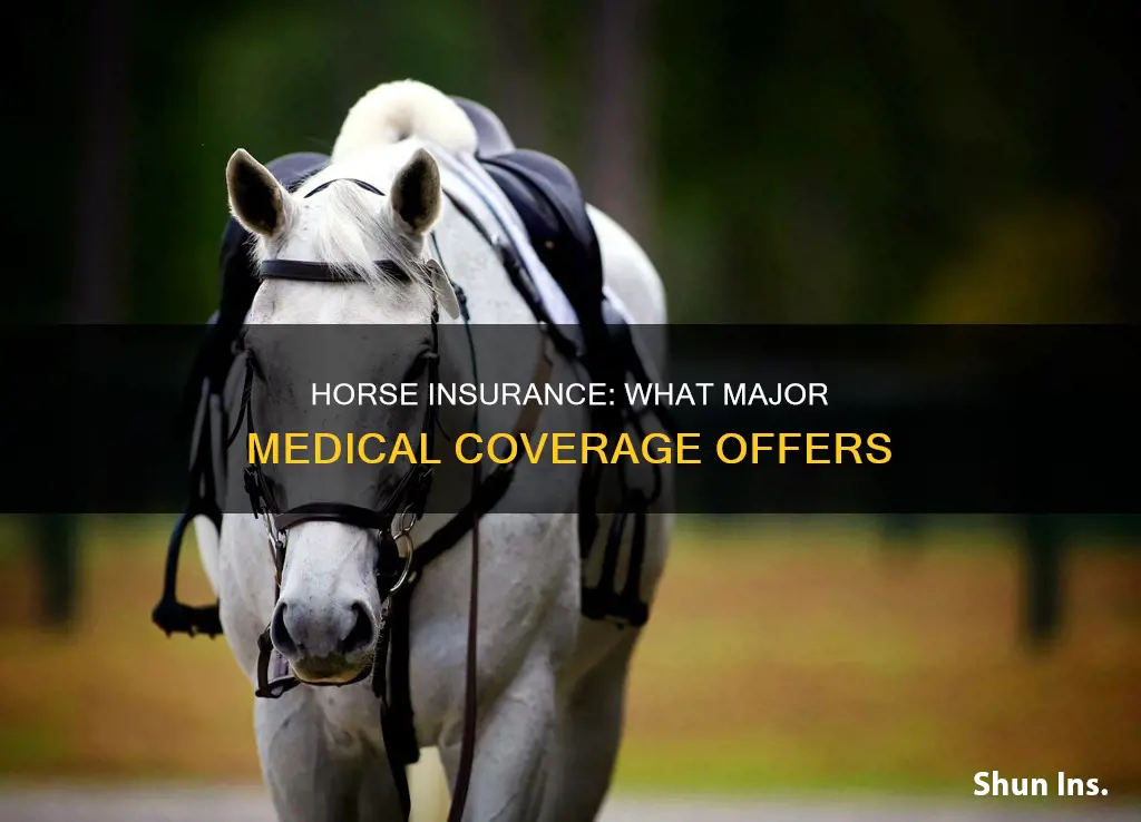 what does major medical horse insurance cover