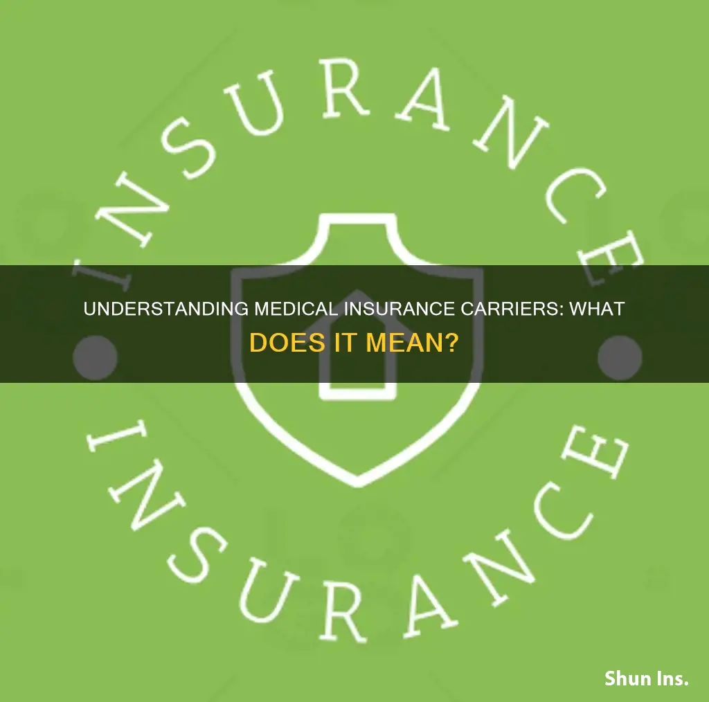 what does medical insurance carrier mean