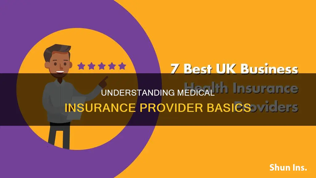 what does medical insurance provider mean