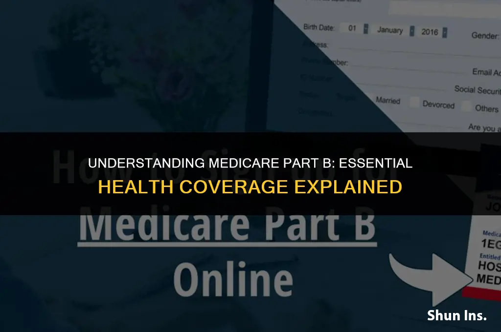 what does medicare b health insurance cover
