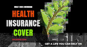Exploring Meridian Health Insurance: Comprehensive Coverage Details