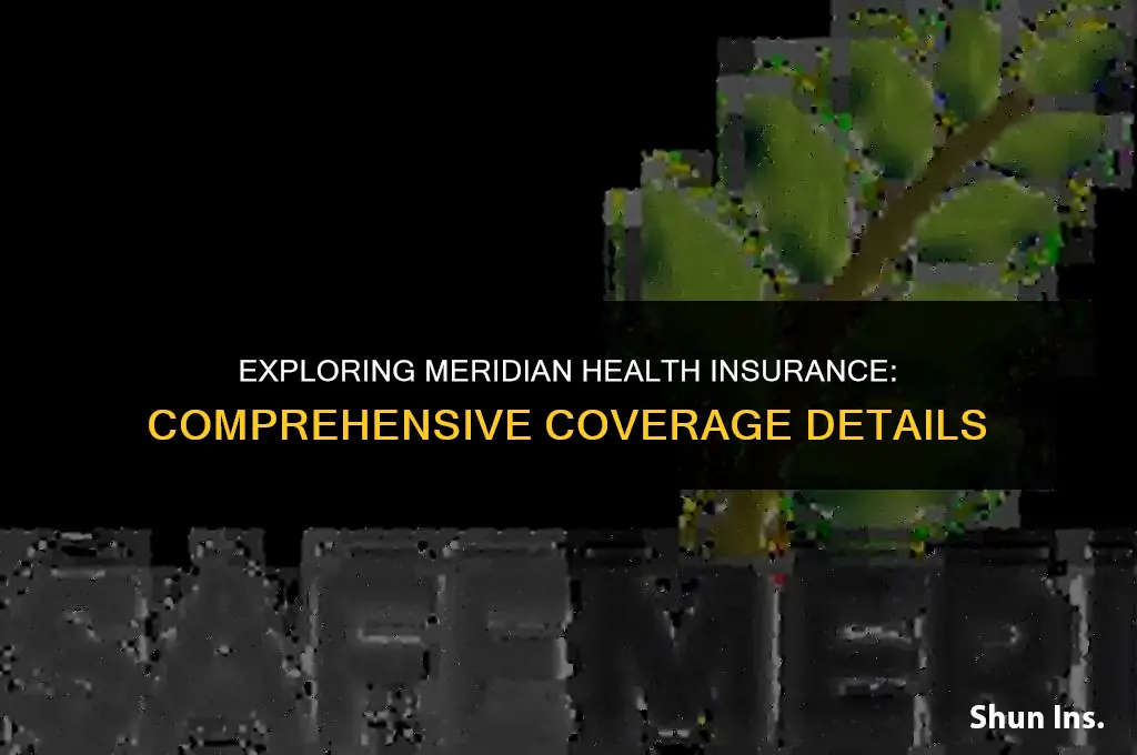 what does meridian health insurance cover