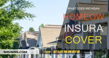 Michigan Home Insurance: What's Covered and What's Not