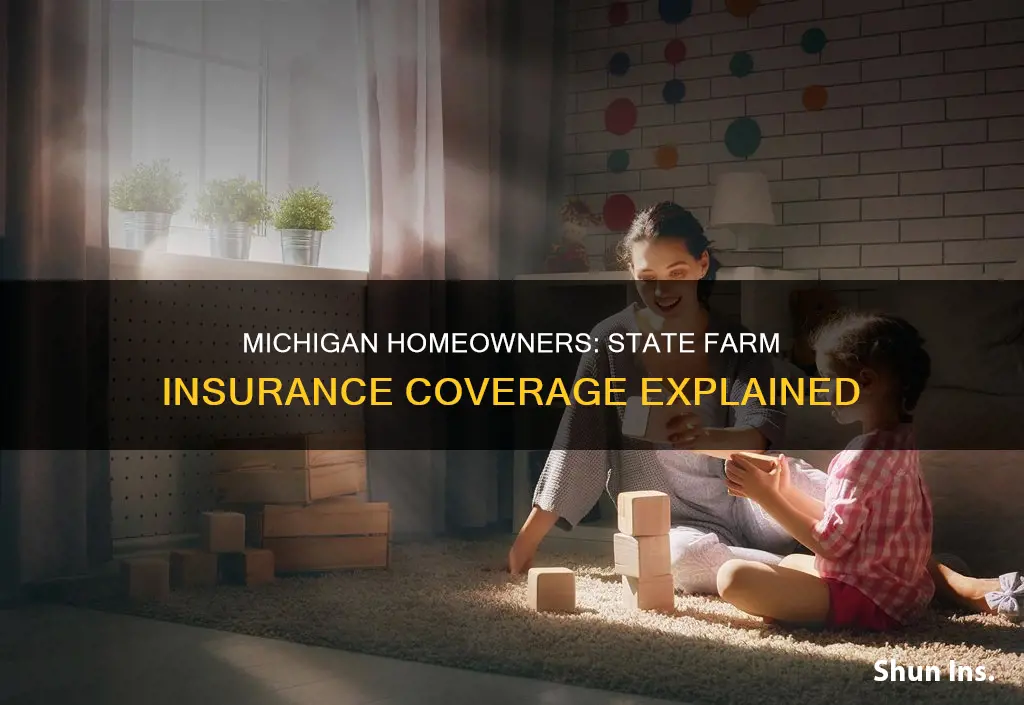 what does michigan homeowners insurance state farm cover