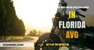 Motorcycle Insurance in Florida: Average Costs Explored