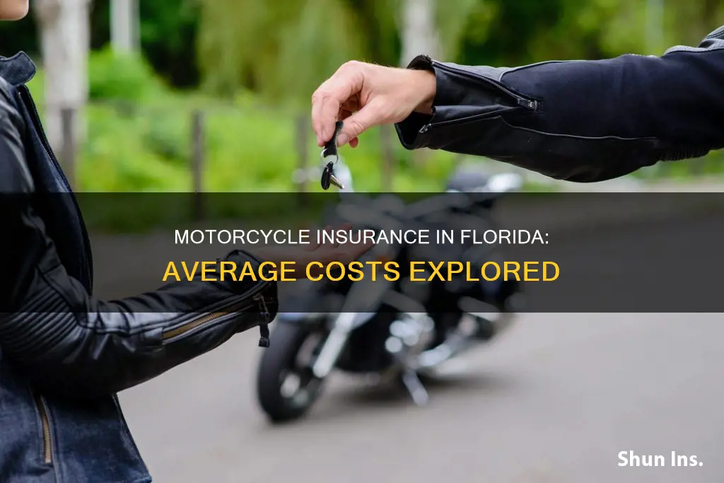 what does motor cycle insurance in Florida avg