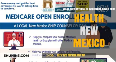 Understanding Your Health Insurance Coverage in New Mexico
