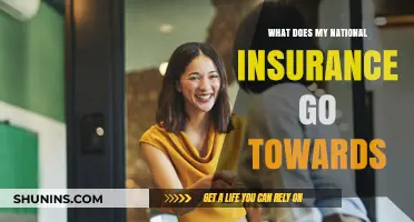 Your National Insurance Contributions: Where Do They Go?