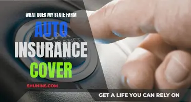 State Farm Auto Insurance: What's Covered and What's Not