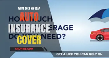 Usaa Auto Insurance: What Does My Plan Cover?