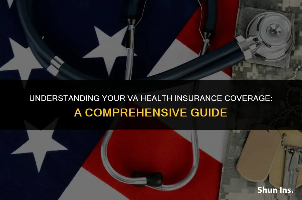 what does my va health insurance cover