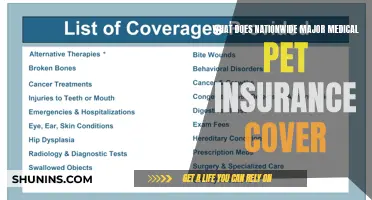 Unraveling the Coverage: What Nationwide Major Medical Pet Insurance Includes