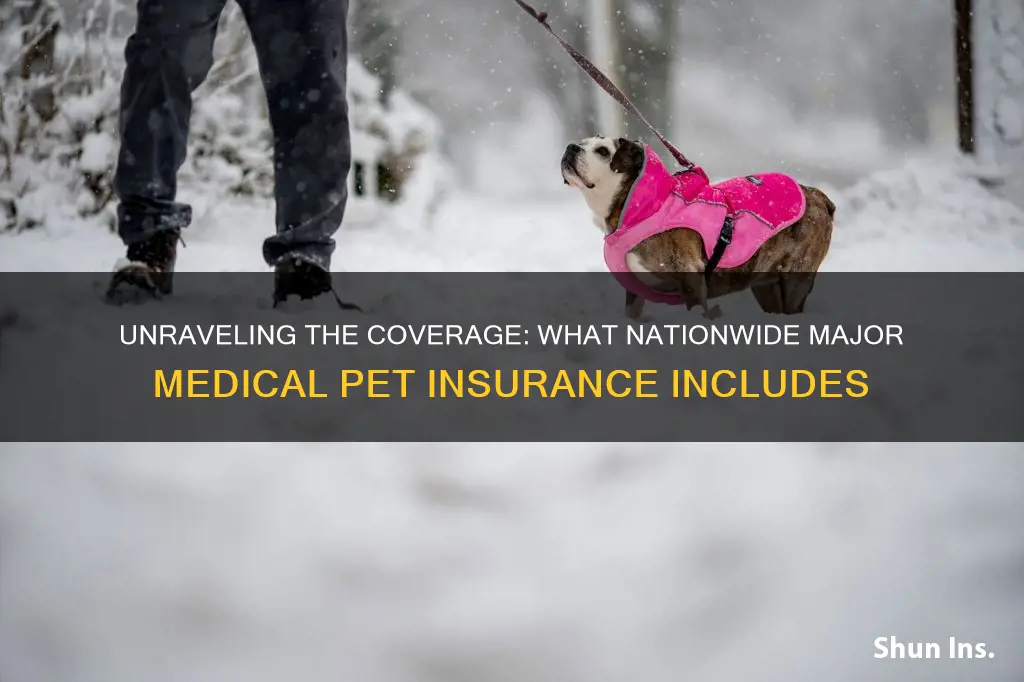 what does nationwide major medical pet insurance cover